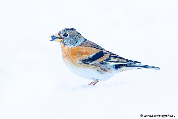 Winteralbum 2021-086