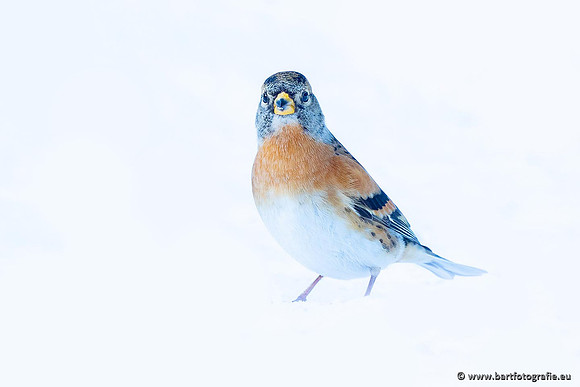Winteralbum 2021-089
