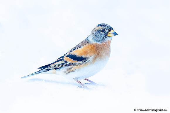 Winteralbum 2021-090