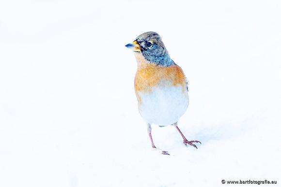 Winteralbum 2021-091