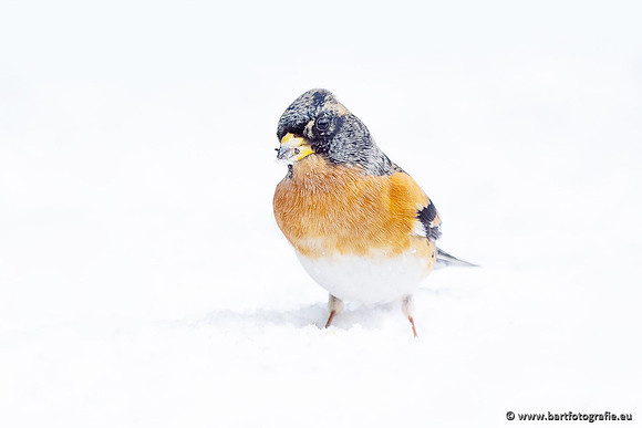 Winteralbum 2021-093