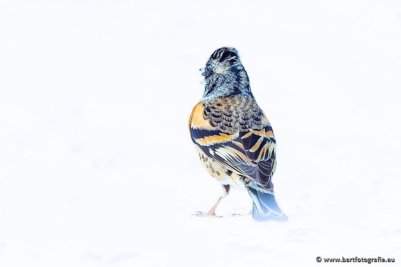 Winteralbum 2021-095