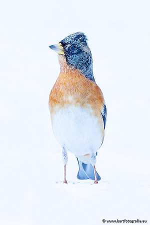 Winteralbum 2021-096