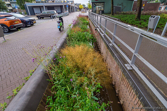 Beek van Kerschoten 160821-002