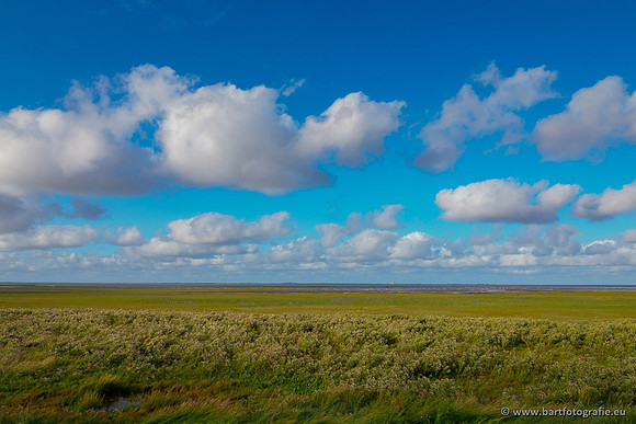 Friesland september 2020 Bart Fotografie-112