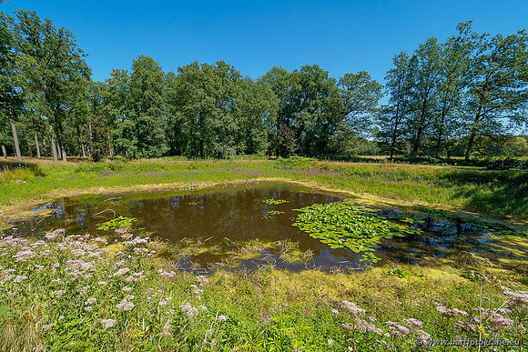 Achterhoek augustus 2020 Bart Fotografie-011