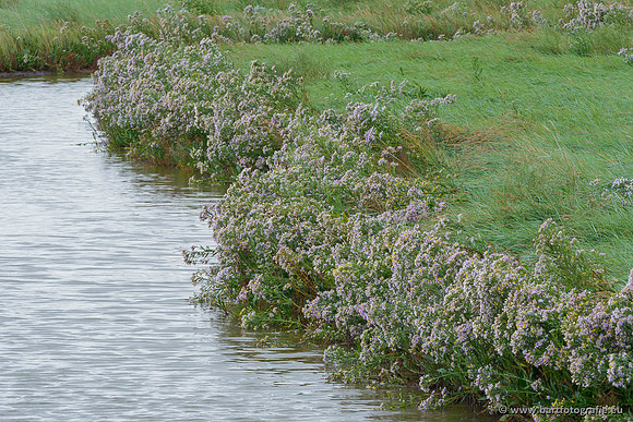 Friesland september 2020 Bart Fotografie-080