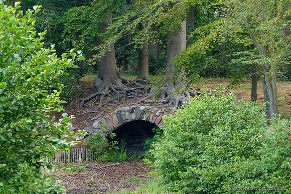 Achterhoek augustus 2020 Bart Fotografie-052