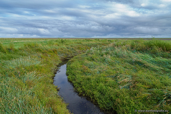 Friesland september 2020 Bart Fotografie-106