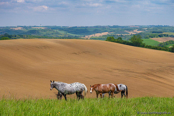 Ariège, Frankrijk, mei 2022, Bart Fotografie-005