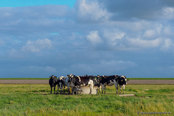 Friesland september 2020 Bart Fotografie-118