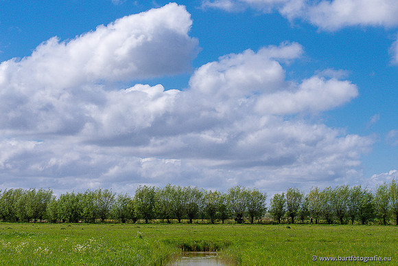 Akker en Weide Bart Fotografie-148