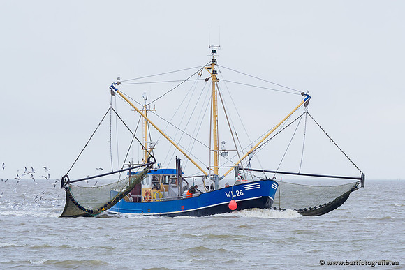 Friesland september 2020 Bart Fotografie-121