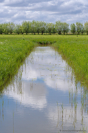 Akker en Weide Bart Fotografie-150