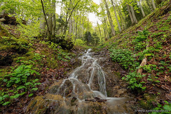 Ariège, Frankrijk, mei 2022, Bart Fotografie-127