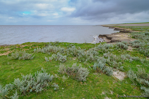 Friesland september 2020 Bart Fotografie-022