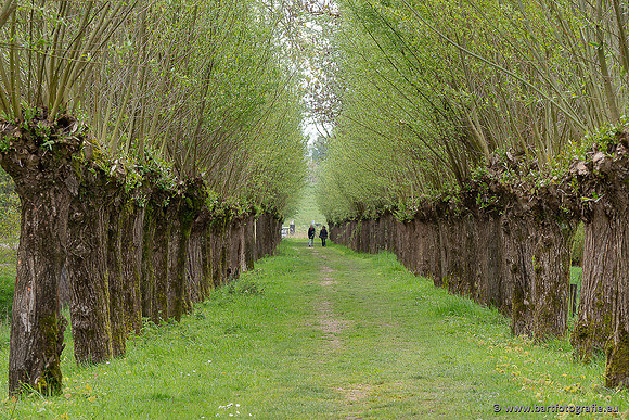Akker en Weide Bart Fotografie-153