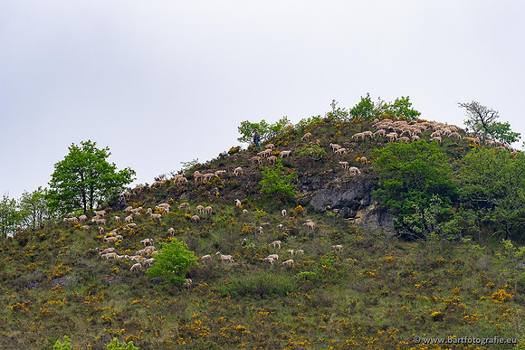 Ariège, Frankrijk, mei 2022, Bart Fotografie-113