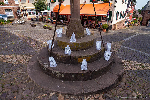 Eifel, augustus 2022, Bart Fotografie-133