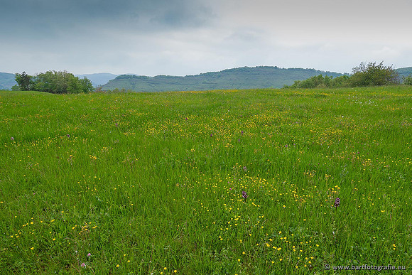 Ariège, Frankrijk, mei 2022, Bart Fotografie-121