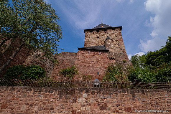 Eifel, augustus 2022, Bart Fotografie-147