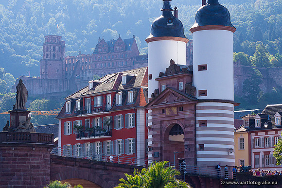 Heidelberg, Duitsland, augustus 2024-014