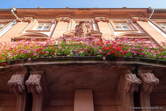Heidelberg, Duitsland, augustus 2024-081