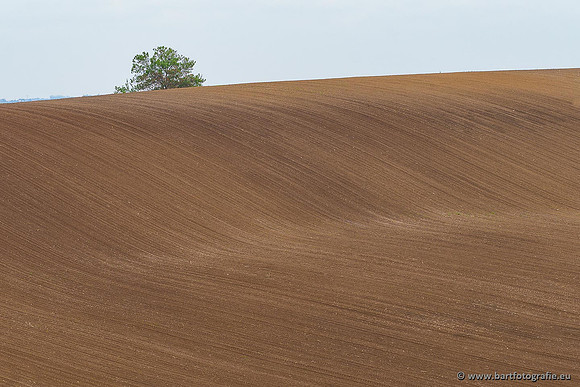 Ariège, Frankrijk, mei 2022, Bart Fotografie-108