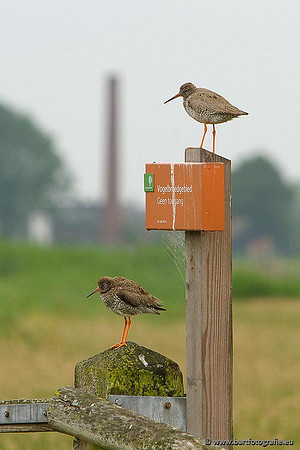 Arkemheen, Bart Fotografie-067