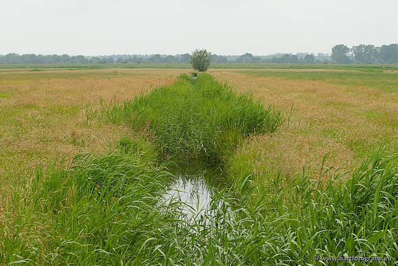 Arkemheen, Bart Fotografie-043