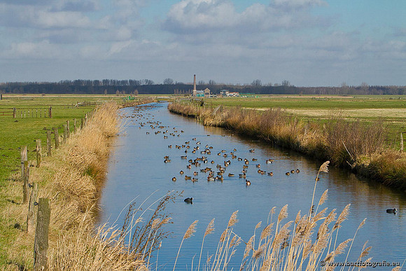 Arkemheen, Bart Fotografie-019