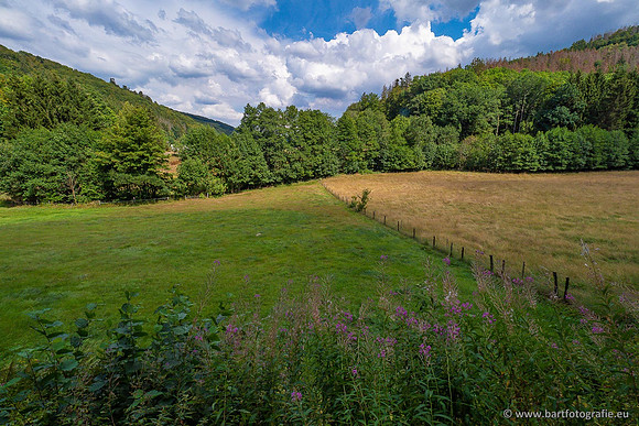 Eifel, augustus 2022, Bart Fotografie-036