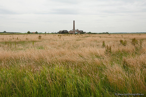 Arkemheen, Bart Fotografie-028