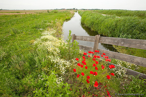 Arkemheen, Bart Fotografie-059