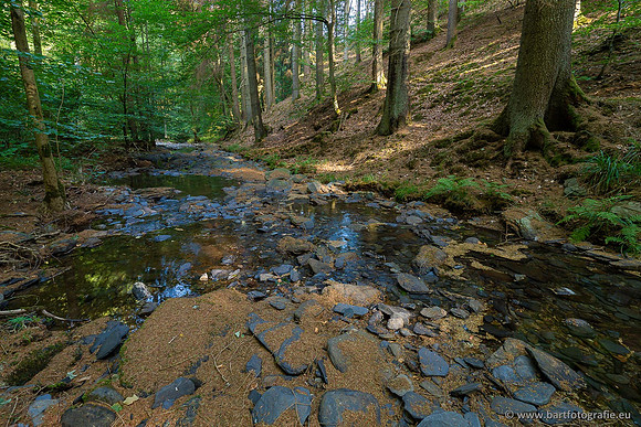 Eifel, augustus 2022, Bart Fotografie-006