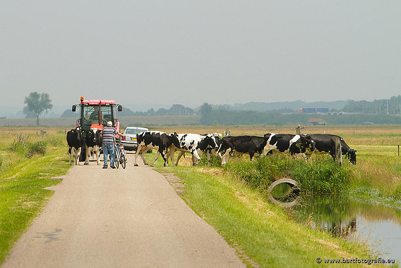Arkemheen, Bart Fotografie-072