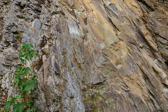 Eifel, augustus 2022, Bart Fotografie-031