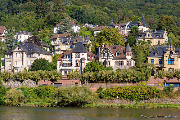 Heidelberg, Duitsland, augustus 2024-017