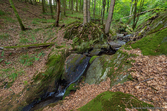 Eifel, augustus 2022, Bart Fotografie-034