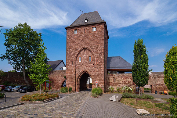 Eifel, augustus 2022, Bart Fotografie-135