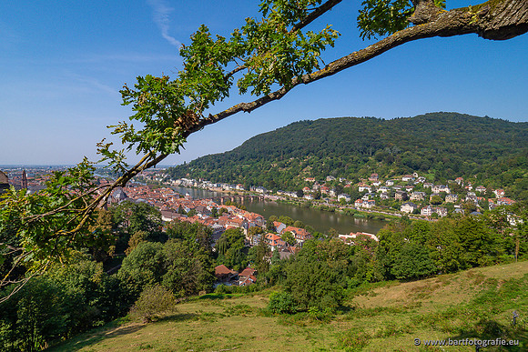 Heidelberg, Duitsland, augustus 2024-110