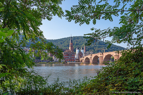 Heidelberg, Duitsland, augustus 2024-078