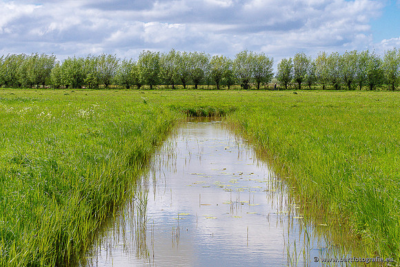 Akker en Weide Bart Fotografie-147