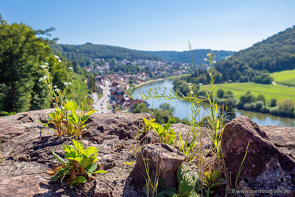 Heidelberg, Duitsland, augustus 2024-048