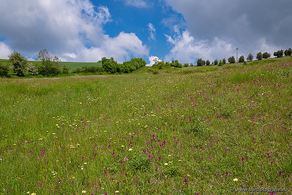 Ariège, Frankrijk, mei 2022, Bart Fotografie-344