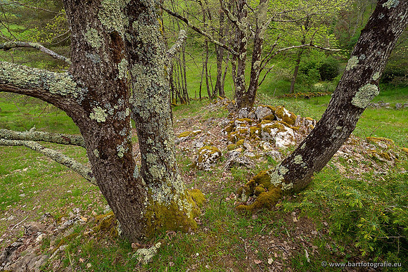 Ariège, Frankrijk, mei 2022, Bart Fotografie-434