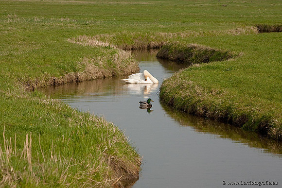 Arkemheen, Bart Fotografie-068