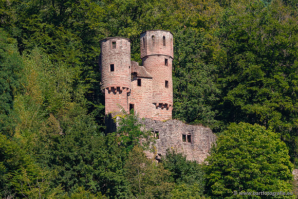 Heidelberg, Duitsland, augustus 2024-022