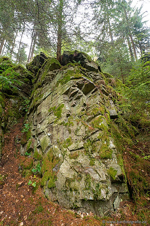 Eifel, augustus 2022, Bart Fotografie-074