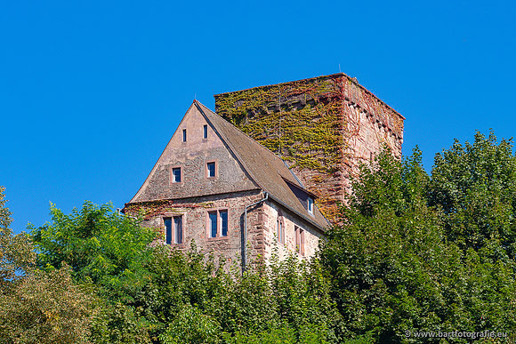 Heidelberg, Duitsland, augustus 2024-029